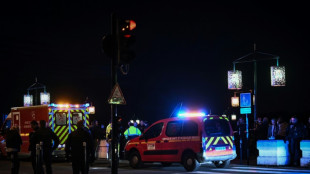 Agression mortelle à Bordeaux: l'assaillant, un Afghan de 25 ans, formellement identifié