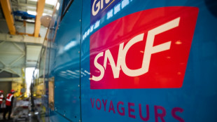 La SNCF surfe sur l'engouement pour le train 