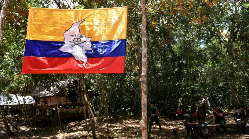 Un exlíder de las FARC colombianas se declara culpable en EEUU de tráfico de drogas