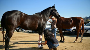 Cientos de animales vulnerables por los incendios de Los Ángeles