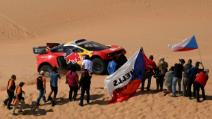 Dakar 2023: Loeb fonce, Al-Attiyah temporise, les motos au coude à coude