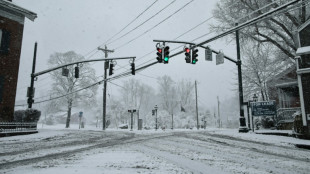 La région de New York sous un épais manteau neigeux