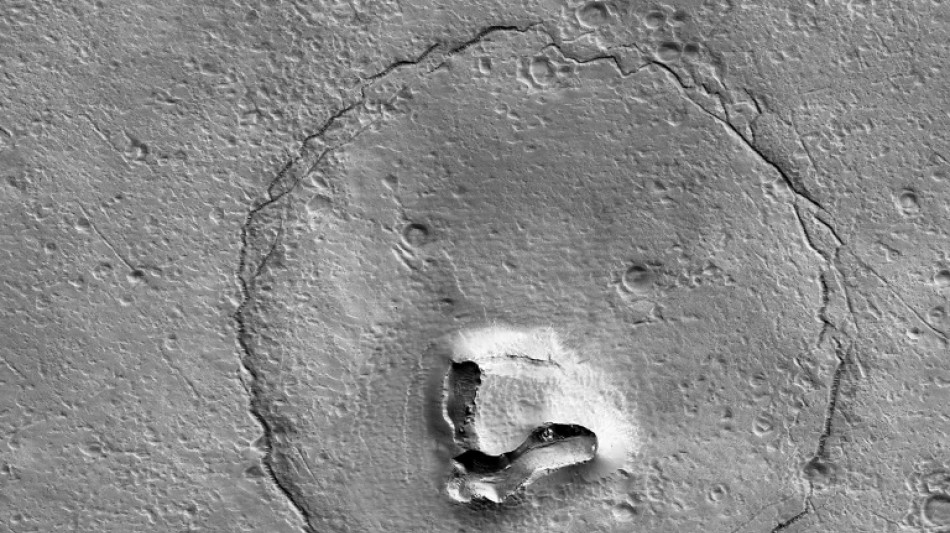 "Un ours sur Mars?" La Nasa publie une intrigante photo de la planète rouge