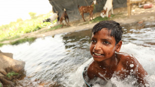 Caldo estremo in India, 85 le vittime in 24 ore