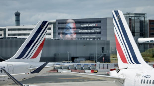 Après un printemps morose, Air France-KLM va souffrir des JO cet été 