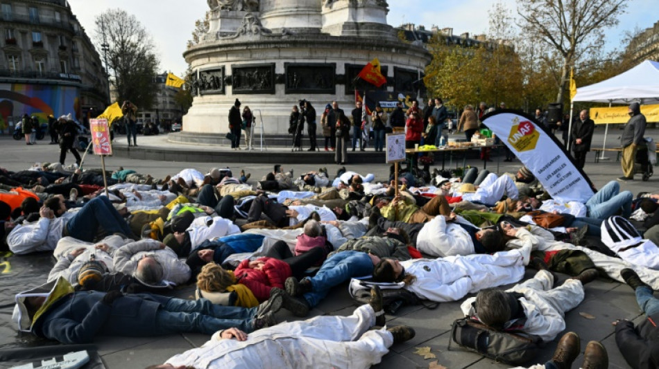 "Stop aux imports de miel à bas prix": des apiculteurs français lancent un cri d'alarme