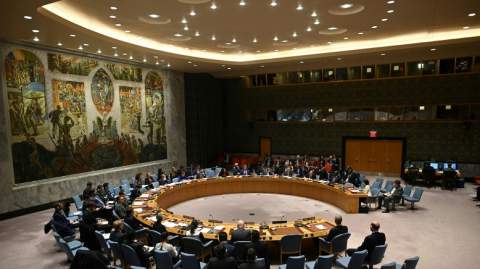 Russland verzichtet auf Abstimmung über UN-Resolution wegen Ukraine