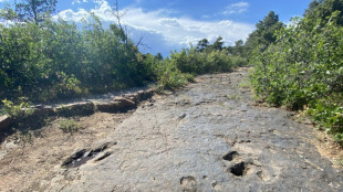 El reinado de los dinosaurios acabó en la primavera