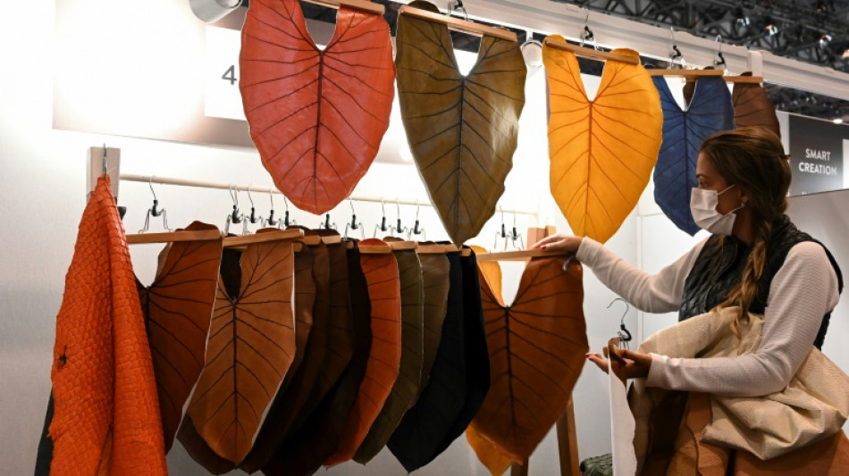 Bananas to fish scales: fashion's hunt for eco-materials