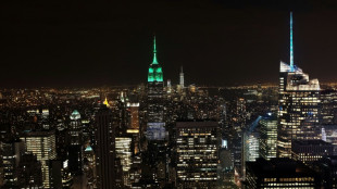 Les lumières de New York sous le feu des associations écologistes