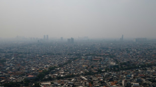 Indonésie: des milliers de fonctionnaires priés de télétravailler pour réduire la pollution