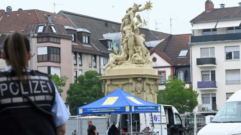 Verwaltungsgericht hält AfD-Versammlung auf Marktplatz in Mannheim für rechtens