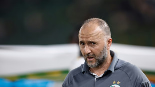 Após fiasco na CAN, Djamel Belmadi deixa comando da seleção da Argélia