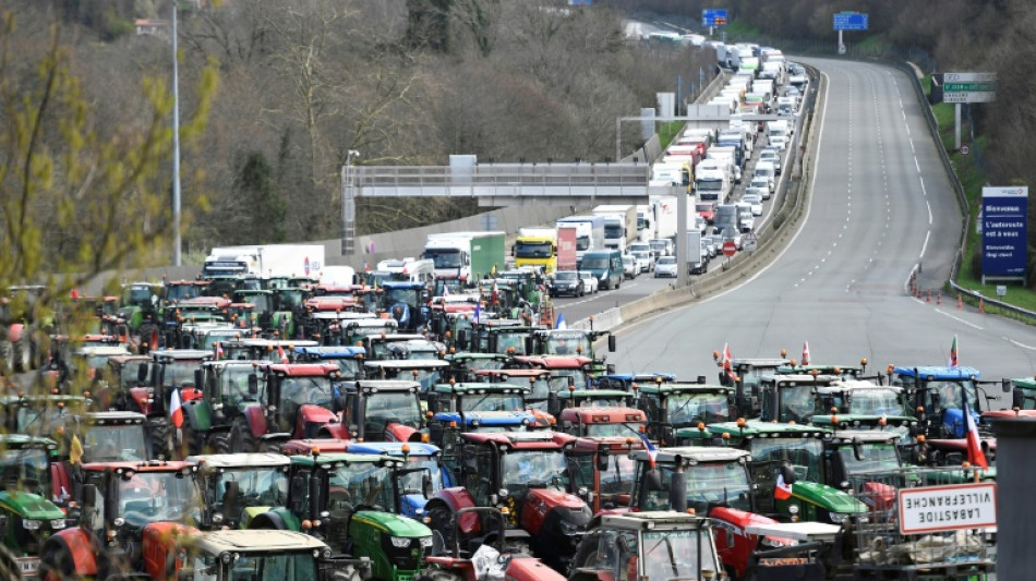 Agricultores franceses y españoles bloquean la frontera para "tener peso" en las elecciones europeas