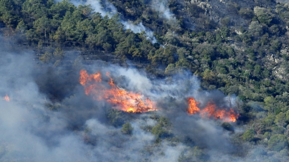 Espagne: l'incendie à la frontière avec la France en passe d'être stabilisé