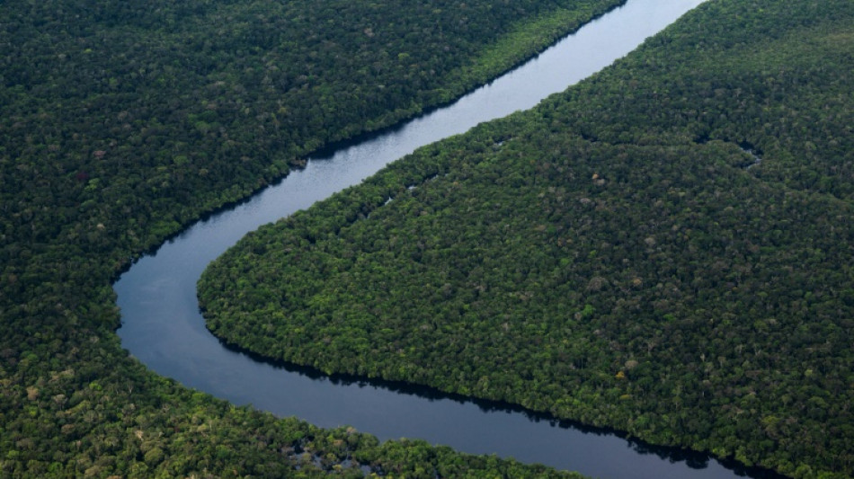 Déforestation: accord inédit de l'UE pour verdir ses importations