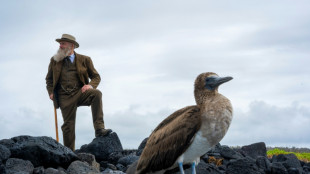 Impersonator conjures Charles Darwin on Galapagos visit