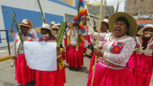 Protestas contra el gobierno de Perú se reinician con bloqueo de vías