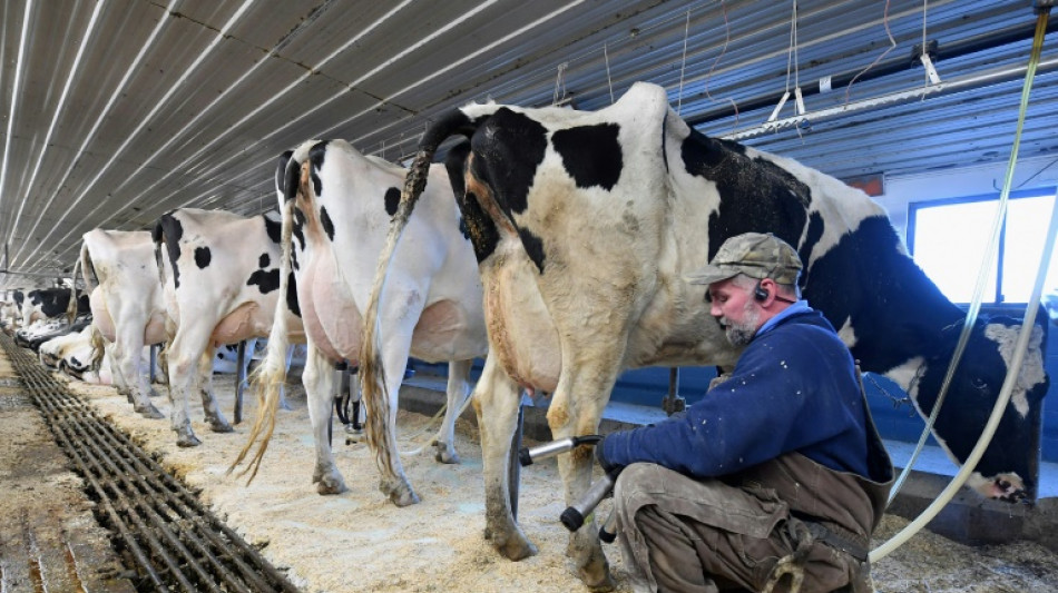 Prix agricoles garantis: les Etats-Unis et le Canada le font depuis des décennies