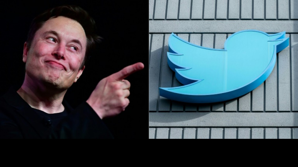 Twitter: Musk change le logo, la cryptomonnaie associée voit son cours décoller