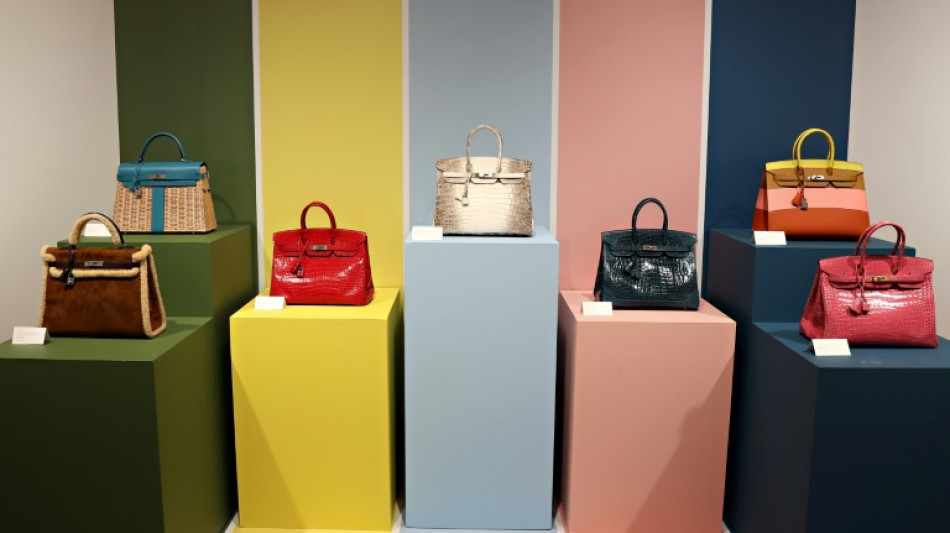 Hermès poursuivi par des clients américains incapables d'acheter ses sacs Birkin