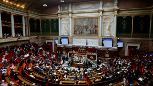 "Plein emploi" et spectre du 49.3: une rentrée pied au plancher à l'Assemblée