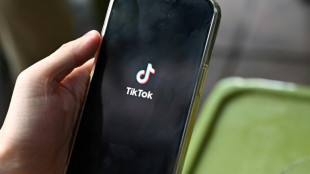 Le Kirghizstan bloque TikTok pour "protéger les enfants"