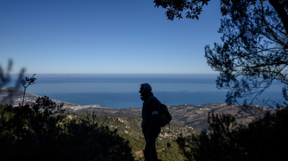 Pesticides: à pied de la Méditerranée à Paris pour défendre la forêt