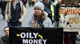 A Londres, Greta Thunberg arrêtée en marge d'une conférence énergétique