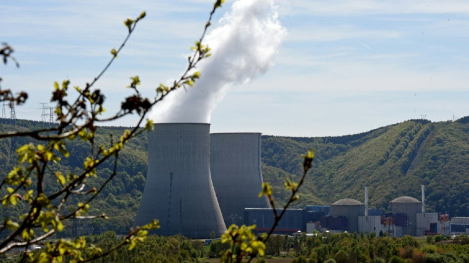 Sureté nucléaire, climat et prix de l'éléctricité: deux lois énergie en préparation, indique Agnès Pannier-Runacher