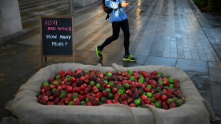 Más de mil "manzanas podridas" frente a Scotland Yard para denunciar la violencia de género entre sus agentes