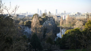 Le corps de la femme retrouvée démembrée aux Buttes-Chaumont identifié