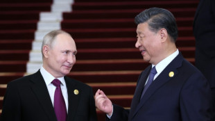 El presidente chino recibió a su "querido amigo" Putin en Pekín