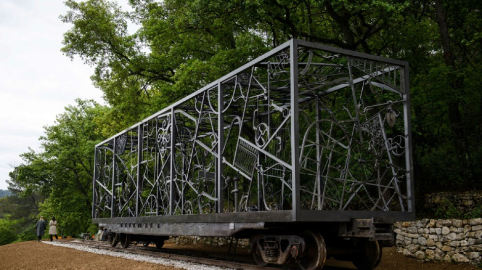 Bob Dylan installs artwork in French vineyard