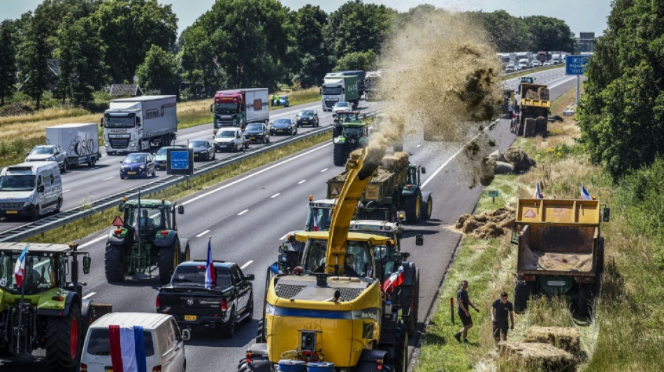 Dutch farmer protests reap populist support