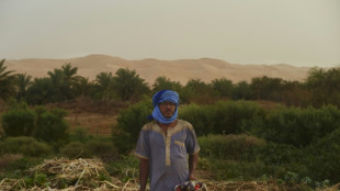 Entre dunes et montagne de Mauritanie, l'oasis de Maaden, utopie fraternelle