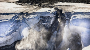 Dépasser 1,5°C de réchauffement pourrait déclencher des points de non-retour climatiques