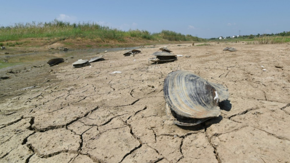 Les engagements climat "très loin" de répondre à l'objectif de 1,5°C, alerte l'ONU