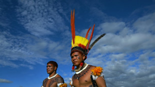 Des milliers d'indigènes défendent leur droit à la terre à Brasilia