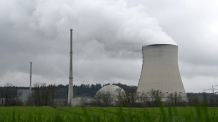 L'Allemagne sort, divisée, de l'ère du nucléaire