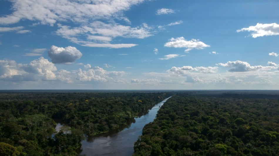 Grandes mineras cuestionan proyecto para explotación en Amazonía impulsado por Bolsonaro