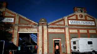 Vendanges: dans l'ombre des châteaux prestigieux, squats et marchands de sommeil