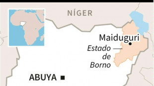 El grupo yihadista Boko Haram mata a 17 ganaderos en el noreste de Nigeria