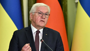 Steinmeier fordert zu weiteren Hilfen für Ukraine auf