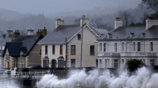 Power cuts and transport chaos as Storm Eowyn hits Ireland and UK