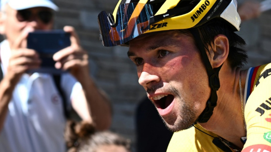 Roglic soars to Dauphine lead after Alpine slog