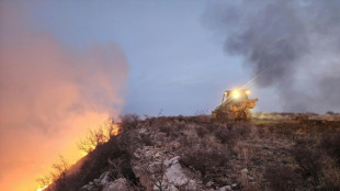 La pluie offre un bref répit face au plus grand incendie de l'histoire du Texas