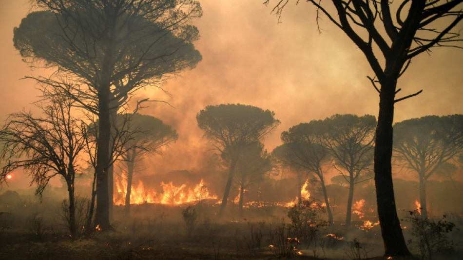 Vaste incendie près de Saint-Tropez en 2021: un suspect mis en examen