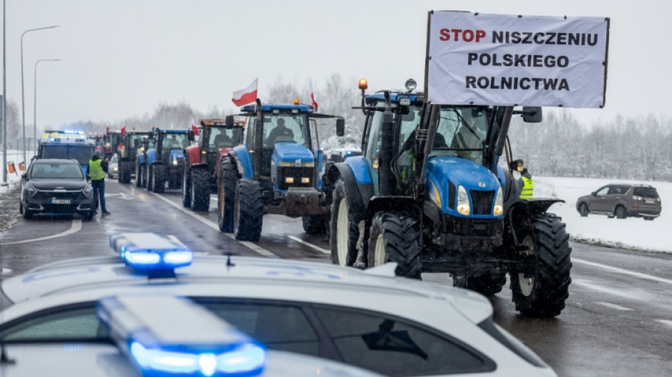 Ukraine urges Poland to 'punish' protesting farmers