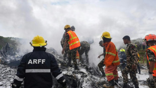 Plane crashes in Nepal with 18 dead, pilot sole survivor